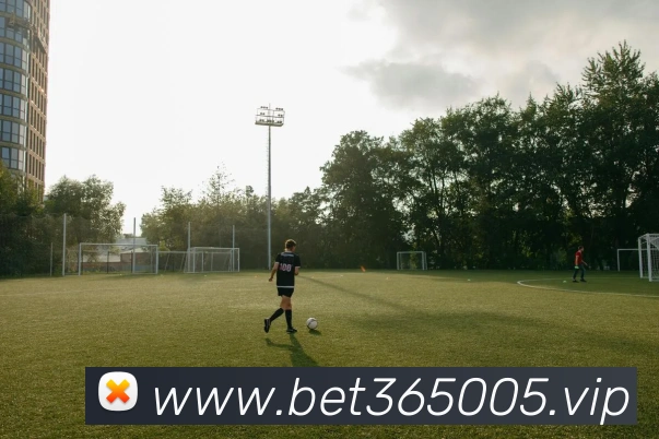bet365中国官网服务体系